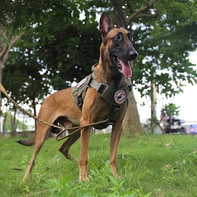 ICEFANG Tactical Dog Harness,Large Size, 2X Metal Buckle,Working Dog MOLLE Vest with Handle,No Pulling Front Leash Clip,Hook and Loop Panel - PAWPICO