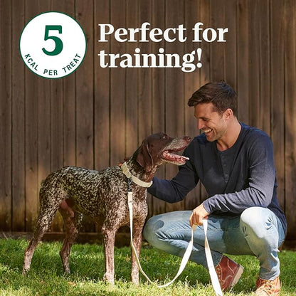 NUTRO Crunchy Dog Treats with Real Apple, 16 oz. Bag - PAWPICO