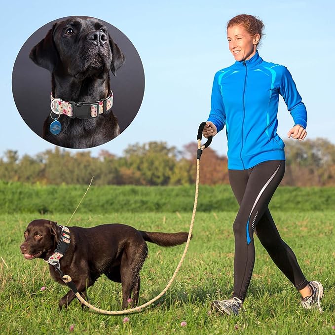Reflective Dog Collar Padded with Soft Neoprene Breathable Adjustable Nylon Dog Collars for Small Medium Large Dogs (Medium (Pack of 1), Vanila/Pink Floral Collar+Leash) ladoogo