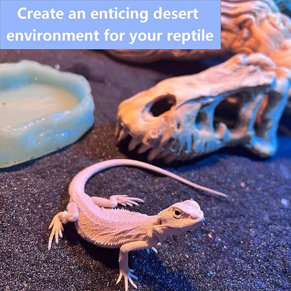 BNOSDM Reptile Sand Bearded Dragons Substrate Sands Lizard Terrarium Bedding Desert Blend for Snakes Geckos Chameleon Tortoise Frogs Scorpion Invertebrates Amphibian(Black) BNOSDM