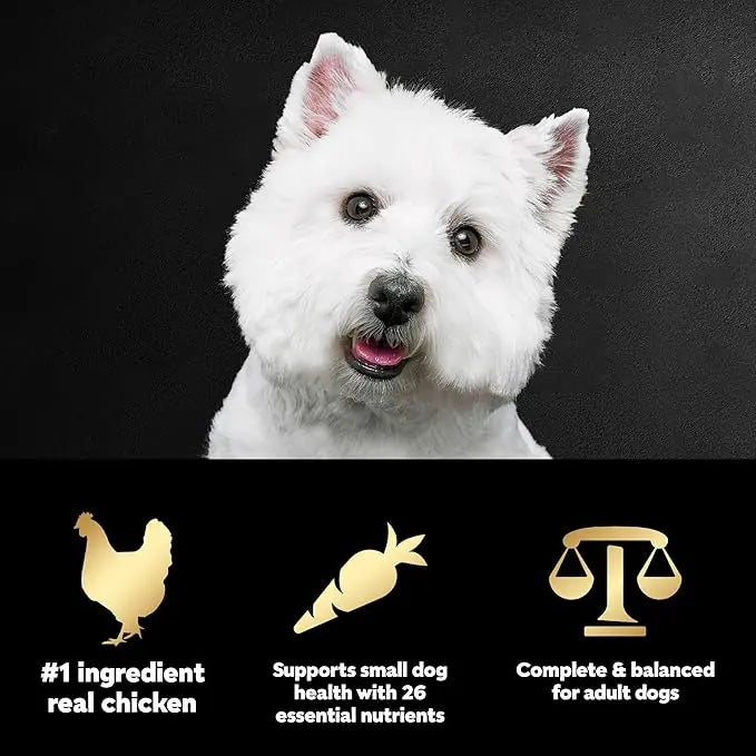 CESAR Small Breed Dry Dog Food Rotisserie Chicken Flavor and Spring Vegetables Garnish, 12 lb. Bag - PAWPICO