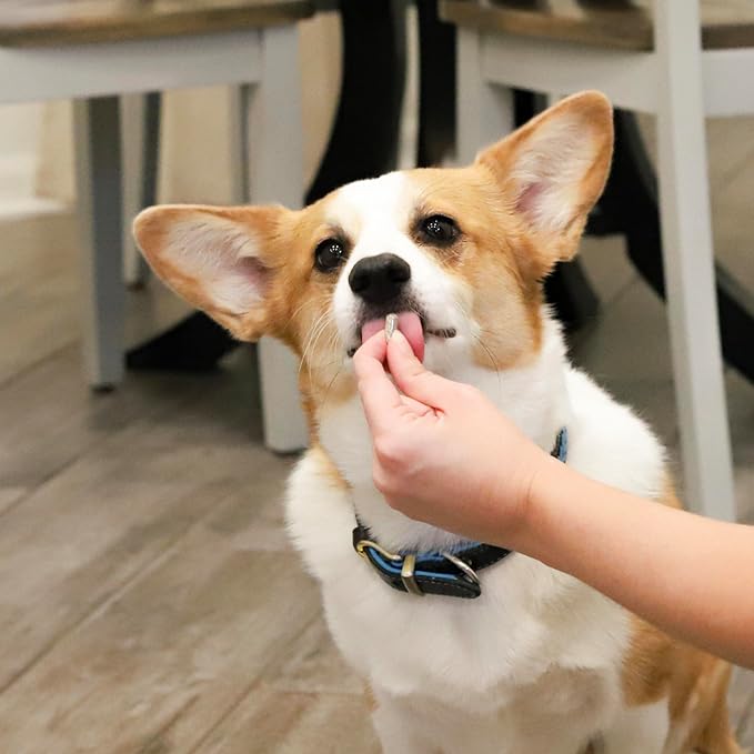 Ark Naturals Gentle Digest Capsules, Vet Recommended Prebiotics and Probiotics to Support Intestinal Balance and Immune System Health in Dogs and Cats, Natural Ingredients, 60 Count ARKNATURALS