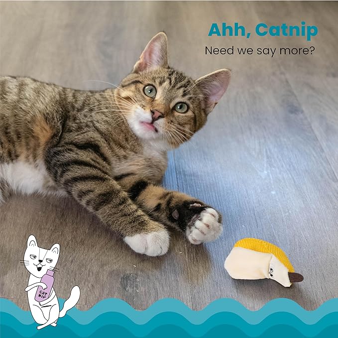 Catstages Dental Banana Catnip Cat Chew Toy - PAWPICO