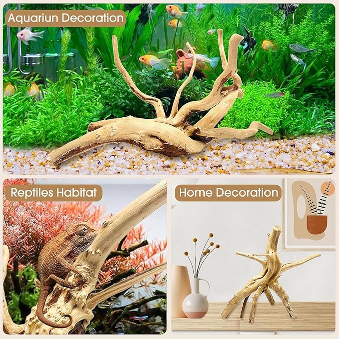 Natural Small Spiderwood Driftwood for Aquarium Decor Rptile Fish Tank Decoration Assort Branch 2-4'' 10 Pcs Jorewood