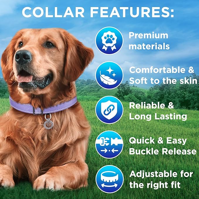 TECEUM Reflective Pet Collar – Lavender – L – Basic Nylon Dog Collar – Quick Release Buckle – Fits Small, Medium and Large Dogs, Puppies, Cats – ESA & Service Dog Options TECEUM