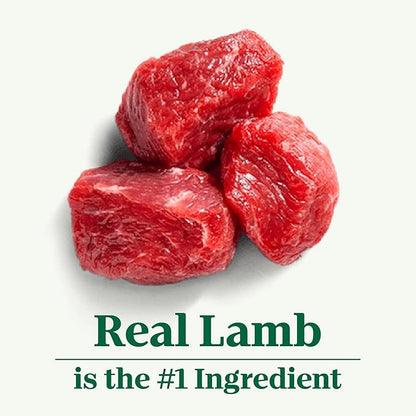 NUTRO NATURAL CHOICE Small Bites Adult Dry Dog Food, Lamb & Brown Rice Recipe Dog Kibble, 5 lb. Bag - PAWPICO