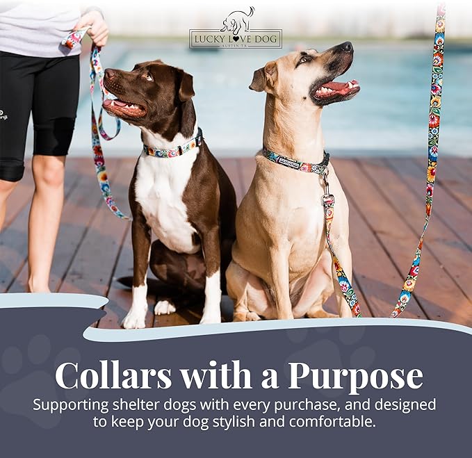Lucky Love Dog - Adjustable Dog Collar with Easy Click Buckle for Small to Large Dogs, Durable, & Comfortable Collar for Male & Female Dogs, Pet Collar for Puppies & Adult Dogs - Ladybird, Medium LuckyLoveDog