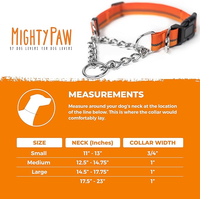 Mighty Paw Martingale Dog Collar 2.0 | Trainer Approved Limited Slip Collar with Stainless Steel Chain & Heavy Duty Buckle - Modified Cinch for Gentle & Effective Pet Training - Medium, Orange MightyPaw