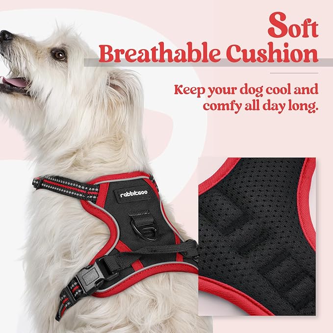 rabbitgoo Dog Harness No Pull with 2 Leash Clips, Adjustable Soft Padded, Reflective Oxford No Choke Pet Vest with Easy Control Handle for Puppy, Black & Red, XS rabbitgoo