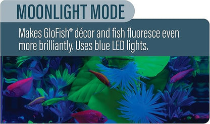 GloFish LED Light 5 Gallons, Blue and White LED Lights, for Aquariums Up to 5 Gallons, Model:29028 GloFish