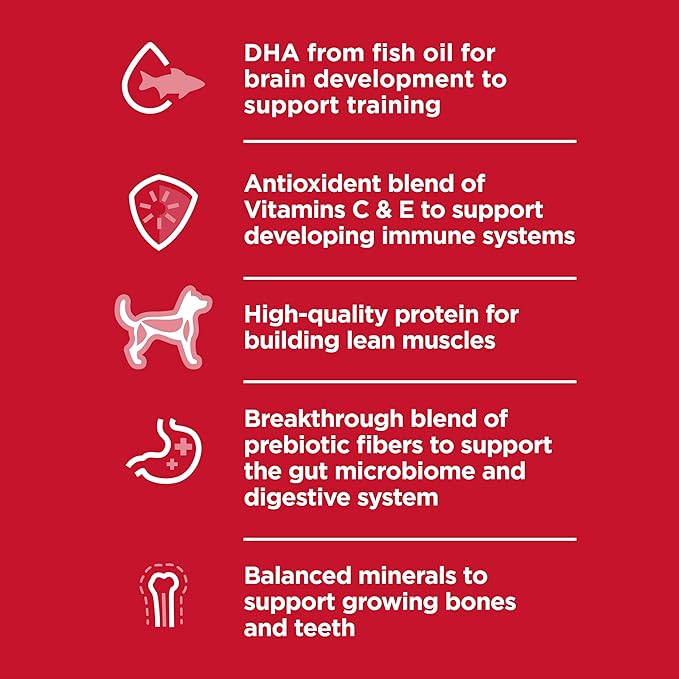 Hill's Science Diet Puppy, Large Breed Puppy Premium Nutrition, Dry Dog Food, Chicken & Brown Rice, 27.5 lb Bag - PAWPICO