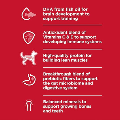 Hill's Science Diet Puppy, Large Breed Puppy Premium Nutrition, Dry Dog Food, Chicken & Brown Rice, 27.5 lb Bag - PAWPICO