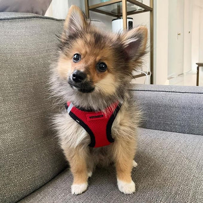 Voyager Step-In Air Dog Harness - All Weather Mesh, Reflective, No Pull Harness for Small, Medium Dogs, Cats - Secure with Hook & Loop Fastener, Buckle, Double D-Rings - Red/Black Trim, XXS BestPetSuppliesLLC