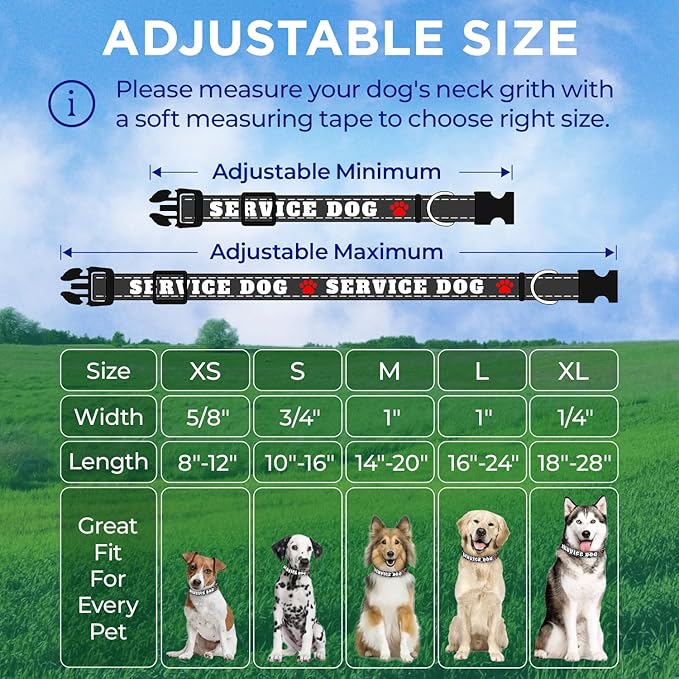 TECEUM Reflective Pet Collar – Black - Service Dog – XS – Basic Nylon Dog Collar – Quick Release Buckle – Fits Small, Medium and Large Dogs, Puppies, Cats – ESA & Service Dog Options TECEUM