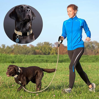 Reflective Dog Collar Padded with Soft Neoprene Breathable Adjustable Nylon Dog Collars for Small Medium Large Dogs (Large (Pack of 1), Vanilla Collar+Leash) ladoogo