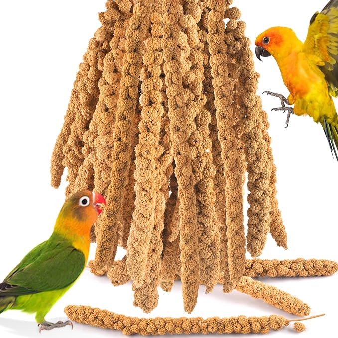 KATUMO Spray Millet for Birds, 2.0LB / 910g Natural Sun-Dried Millet Spray Bird Treats Parakeet Food for Cockatiels Conures Parrots Hamsters Finches KATUMO