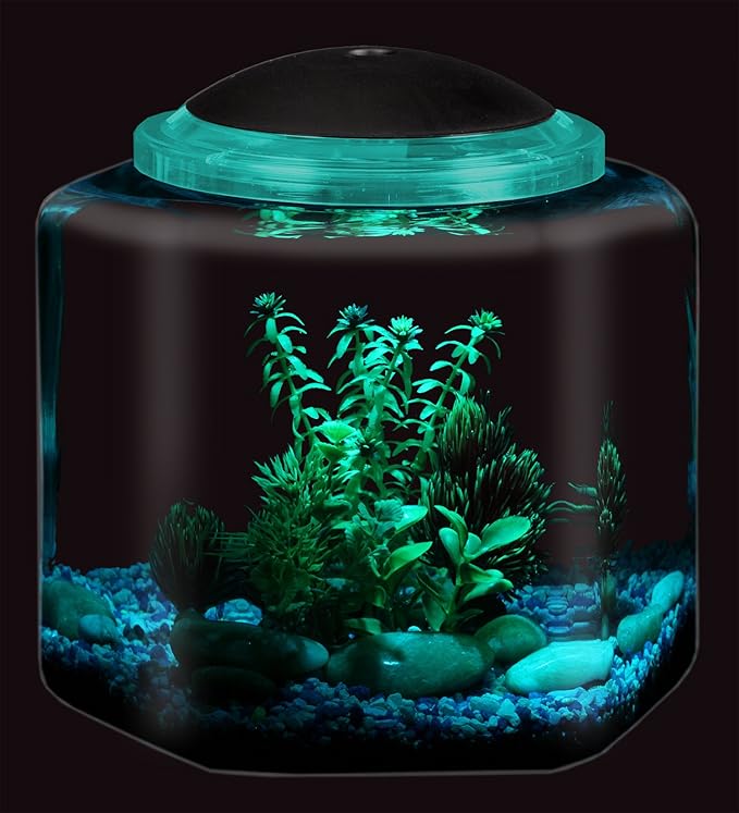 Koller Products 2-Gallon Hex Aquarium Starter Tank - LED Lighting (7 Color Selections), Impact-Resistant Plastic Fish Bowl with Stand for Betta/Nano/Goldfish, Wedding Event & Home Decor DISCOVERTHEEXCITINGWORLDOFKEEPINGTROPICALFISH