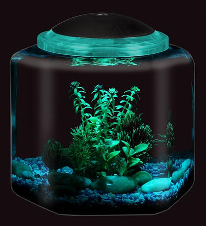 Koller Products 2-Gallon Hex Aquarium Starter Tank - LED Lighting (7 Color Selections), Impact-Resistant Plastic Fish Bowl with Stand for Betta/Nano/Goldfish, Wedding Event & Home Decor DISCOVERTHEEXCITINGWORLDOFKEEPINGTROPICALFISH