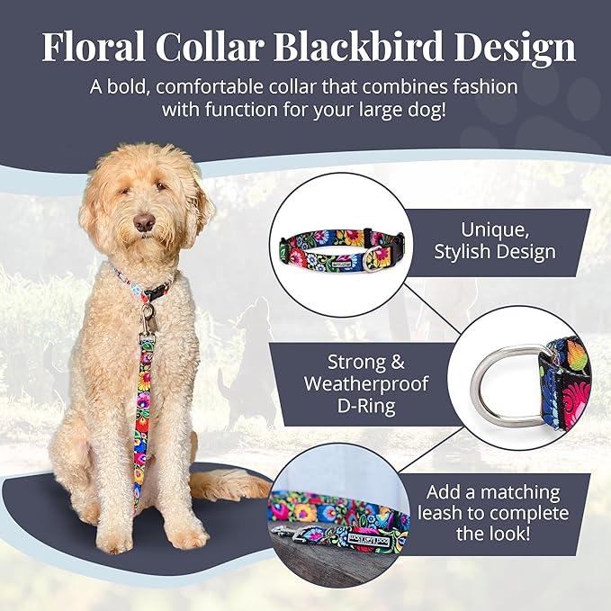 Lucky Love Dog - Adjustable Dog Collar with Easy Click Buckle for Small to Large Dogs, Durable, & Comfortable Collar for Male & Female Dogs, Pet Collar for Puppies & Adult Dogs - Blackbird, Large LuckyLoveDog