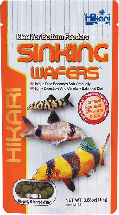 Hikari Tropical Sinking Wafers for Catfish, Loaches and Bottom Feeders 3.88 oz Hikari