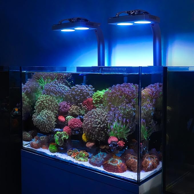 NICREW HyperReef 150 Gen 2 Reef LED Light, 150W Reef Aquarium Lighting for SPS LPS Corals and Saltwater Fish Tanks, Enhanced Violet and Blue Spectrum, Wide Angle Lens, 5 Channels Fully Programmable NICREW