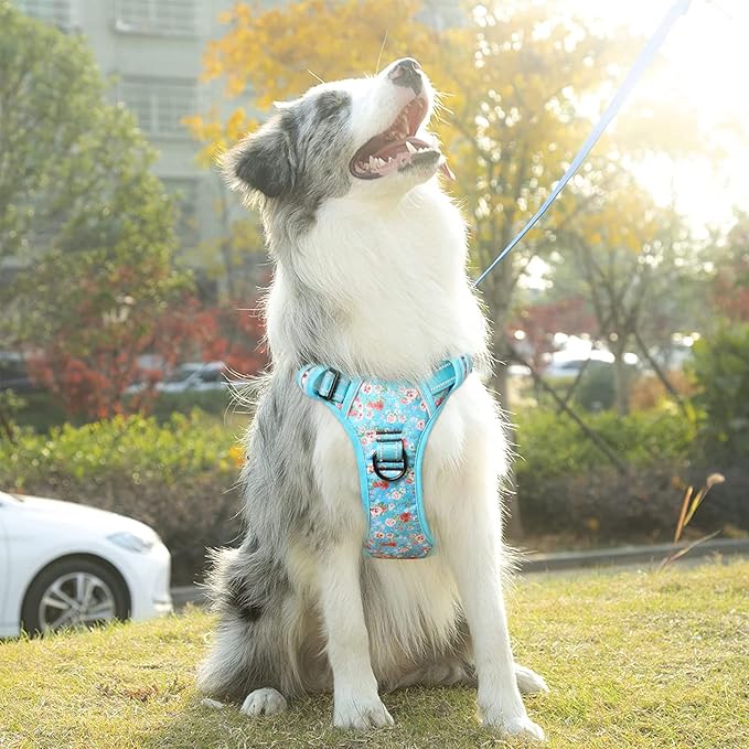 Timos No Pull Dog Harness,NO Need Go Over Dogs Head 3 Snap Buckles Reflective Oxford No Choke Harness with Front&Back 2 Metal Leash Clips Soft Padded for Small Medium Large Dogs,X-Large (Pack of 1) Timos