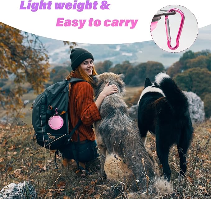 Dog Bowl Pet Collapsible Bowls, 2 Pack Collapsible Dog Water Bowls for Cats Dogs, Portable Pet Feeding Watering Dish for Walking Parking Traveling with 2 Carabiners (Small, Black & Pink) - PAWPICO