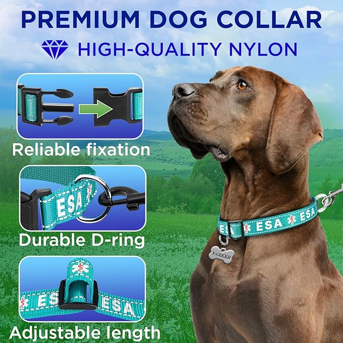 TECEUM Reflective Pet Collar – Teal - ESA – S – Basic Nylon Dog Collar – Quick Release Buckle – Fits Small, Medium and Large Dogs, Puppies, Cats – ESA & Service Dog Options TECEUM