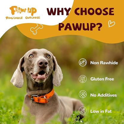 Chicken Jerky Dog Treats, Lower Moisture Content, Healthy Premium Chewy Dog Jerky Treats, 10.6 oz - PAWPICO