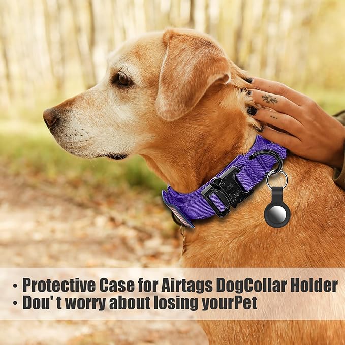 Tactical Dog Collar and Bungee Leash,Military Dog Collar & Leash Set with USA American Flag Adjustable K9 Collar with Heavy Duty Metal Buckle & Handle,with Patches and Airtags Case (Purple, L) Celifelight