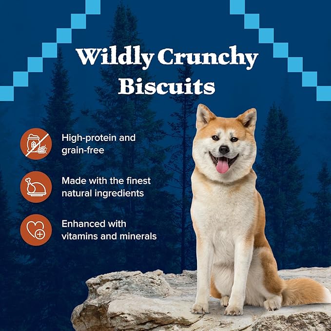 Blue Buffalo Wilderness Trail Treats High Protein Grain Free Crunchy Dog Treats Biscuits, Turkey Recipe, 36-oz box - PAWPICO