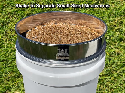 MFS' D-11 Lightning Sifter Small Mealworm Sifting Pan (2nd Gen) MealwormFarmingSolutions