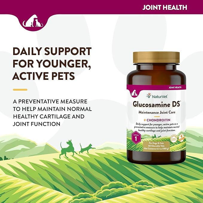 NaturVet Glucosamine DS Level 1 Maintenance Care Hip & Joint Support Pet Supplement for Dogs & Cats –Glucosamine, Chondroitin, Antioxidants –Supports Cartilage, Joint Function – 60 Ct. NaturVet