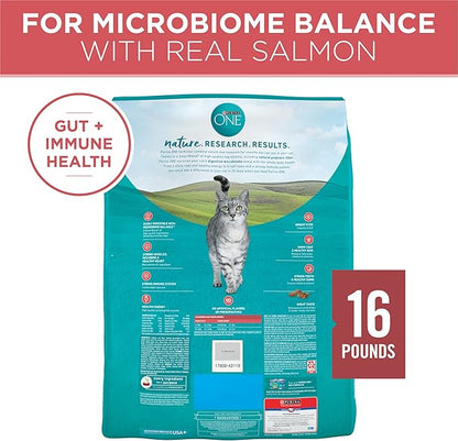 Purina ONE Natural Dry Cat Food, Tender Selects Blend With Real Salmon - 16 lb. Bag - PAWPICO