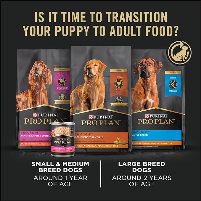 Purina Pro Plan High Protein Puppy Food DHA Lamb & Rice Formula - 6 lb. Bag - PAWPICO