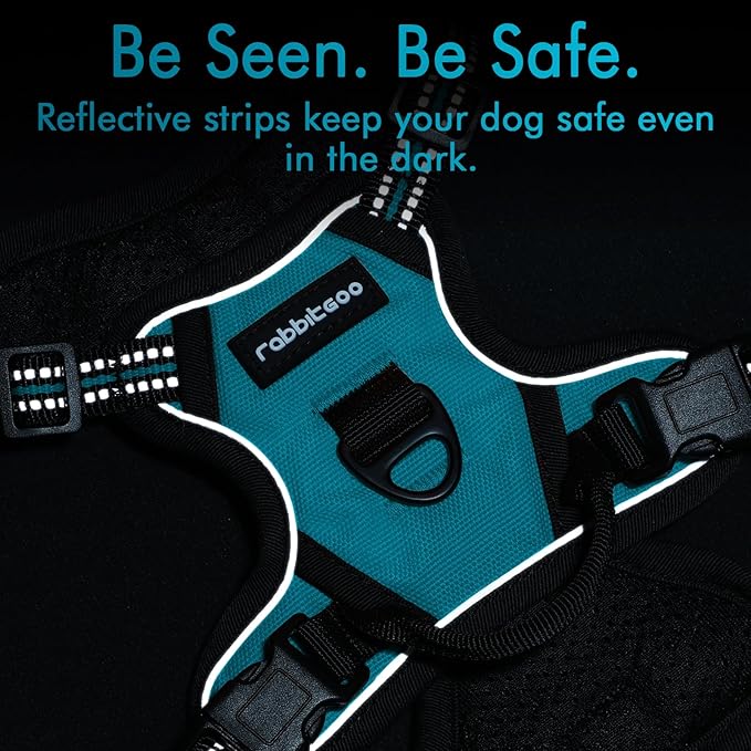 rabbitgoo Dog Harness, No-Pull Pet Harness with 2 Leash Clips, Adjustable Soft Padded Dog Vest, Reflective No-Choke Pet Oxford Vest with Easy Control Handle for Large Dogs, Teal, X-Small - PAWPICO
