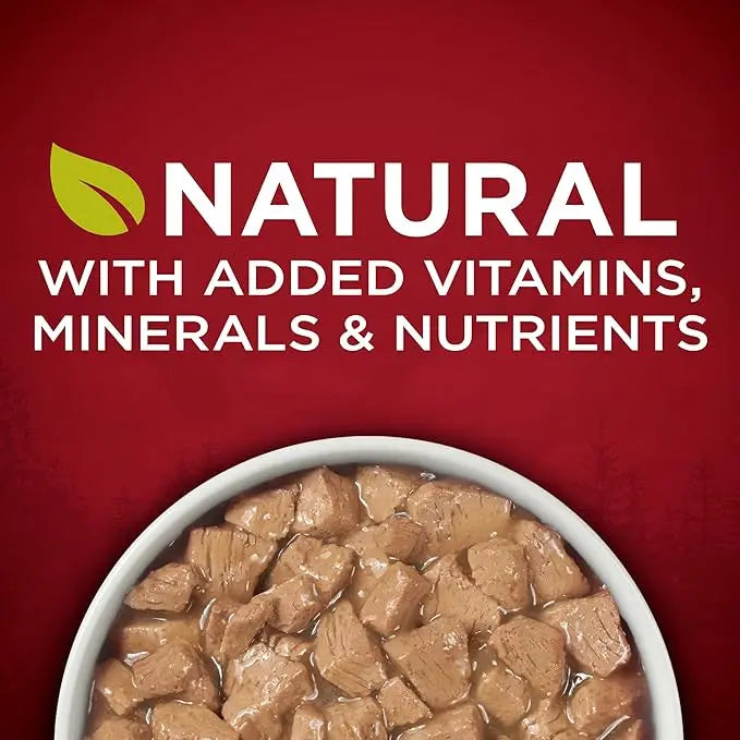 Purina ONE High Protein Wet Dog Food True Instinct Tender Cuts in Dog Food Gravy With Real Beef and Wild-Caught Salmon - (Pack of 12) 13 oz. Cans - PAWPICO