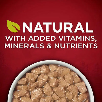 Purina ONE High Protein Wet Dog Food True Instinct Tender Cuts in Dog Food Gravy With Real Beef and Wild-Caught Salmon - (Pack of 12) 13 oz. Cans - PAWPICO