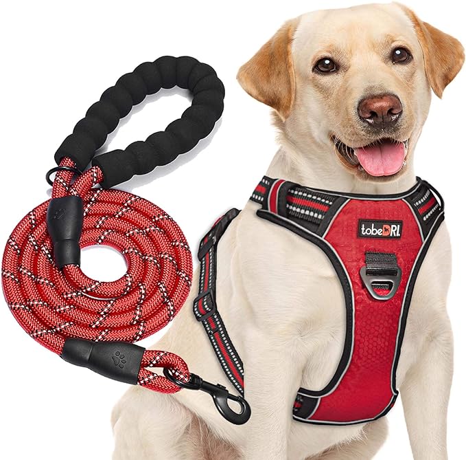 tobeDRI No Pull Dog Harness Adjustable Reflective Oxford Easy Control Medium Large Dog Harness with A Free Heavy Duty 5ft Dog Leash (S (Neck: 13"-18", Chest: 17.5"-22"), Red Harness+Leash) - PAWPICO