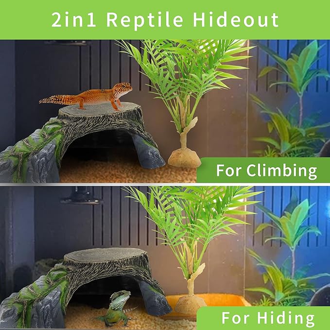 Reptile Hides Hideout Habitat, Reptile Caves for Bearded Dragons, Leopard Geckos, Lizards, Turtles, Snakes, Frogs (XX Large-A) PAWPICO