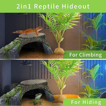 Reptile Hides Hideout Habitat, Reptile Caves for Bearded Dragons, Leopard Geckos, Lizards, Turtles, Snakes, Frogs (XX Large-A) PAWPICO