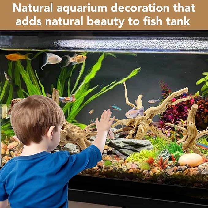 Natural Large Spiderwood Driftwood for Aquarium Decor Rptile Fish Tank Decoration Assort Branch 7-11'' 3 Pcs Jorewood
