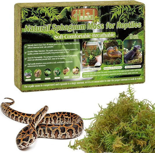 Halatool 9OZ Natural Sphagnum Moss for Reptiles- 14QT Green Live Moss for Terrarium Plants Long Fiber Reptile Moss for Leopard Gecko Snake Hamsters Tortoises Frogs Lizards Salamanders HALATOOL