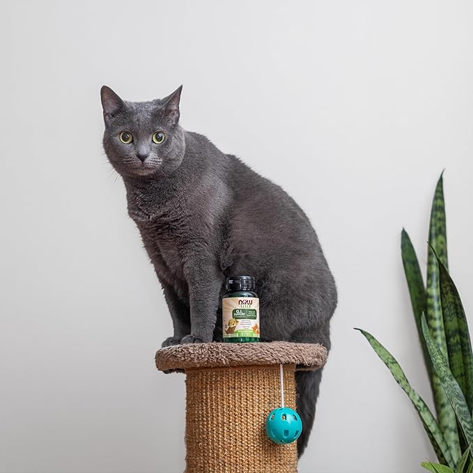 NOW Foods Pet Health, G.I. Support Supplement, Formulated for Cats & Dogs, NASC Certified, 90 Chewable Tablets NOW