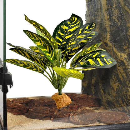 Woyrise Reptile Artificial Plants for Terrarium Decor, Amphibian Habitat Decorations Bearded Dragon Tank Accessories fit Crested Gecko Leopard Lizard Chameleon Ball Python Snake Frog - Prayer Peacock Woyrise