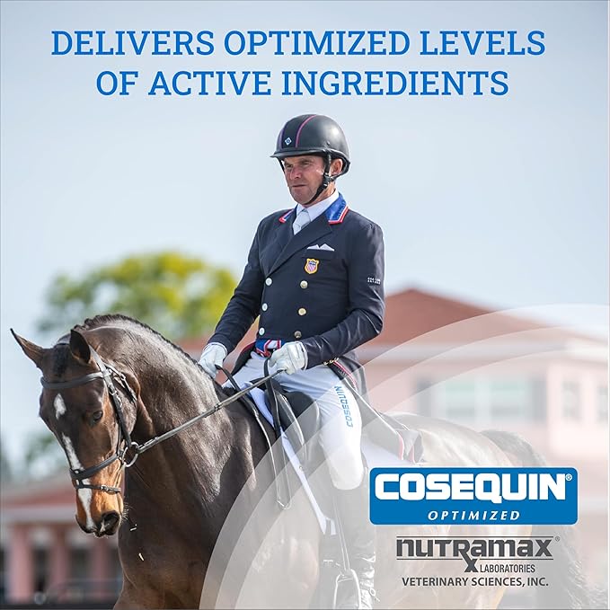 Nutramax Cosequin Optimized with MSM Joint Health Supplement for Horses - Powder with Glucosamine and Chondroitin, 1400 Grams NutramaxLaboratories