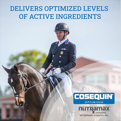 Nutramax Cosequin Optimized with MSM Joint Health Supplement for Horses - Powder with Glucosamine and Chondroitin, 1400 Grams NutramaxLaboratories