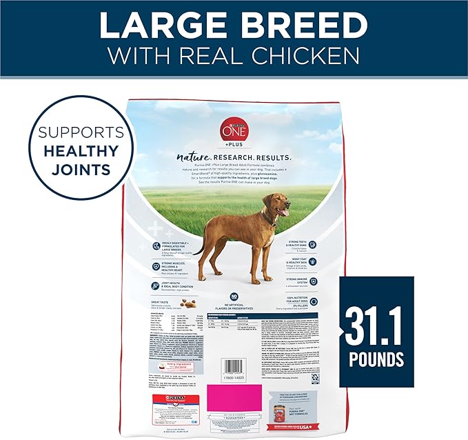 Purina ONE Plus Large Breed Adult Dog Food Dry Formula - 31.1 lb. Bag - PAWPICO