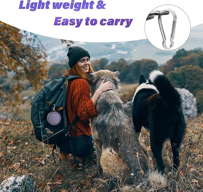 Dog Bowl Pet Collapsible Bowls, 2 Pack Collapsible Dog Water Bowls for Cats Dogs, Portable Pet Feeding Watering Dish for Walking Parking Traveling with 2 Carabiners (Small, Purple+Fairy Pink) - PAWPICO