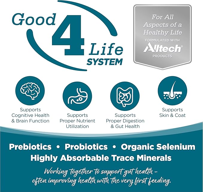 NutriSource Adult Dog Food, Made with Chicken and Rice, with Wholesome Grains, 15LB, Dry Dog Food - PAWPICO